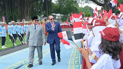 نائب: الشراكة المصرية الإندونيسية تفتح أبواب الاستثمار وتدعم الاقتصاد الوطني