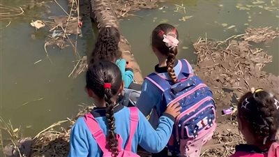 أقرب كوبري على بعد 150 مترًا.. تلاميذ يعبرون ترعة على جذع نخلة في قنا ومجلس المدينة يتحرك