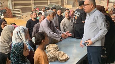 166 مخالفة تموينية في الدقهلية خلال 24 ساعة.. ضبط 5.3 طن لحوم ودواجن