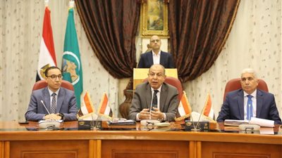 استعدادًا لموسم الأمطار.. محافظ المنيا يتابع جاهزية 32 مخرًا للسيول بالمحافظة