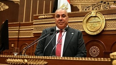 برلماني: منتدى مصر 2026 فرصة لتحويل الحوار الوطني إلى سياسات تنموية تلامس حياة المواطنين