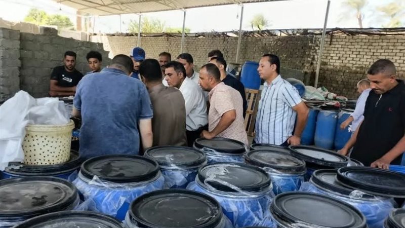 صورة من المصانع الخاصة