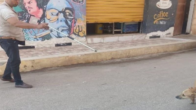تحصين الكلاب 