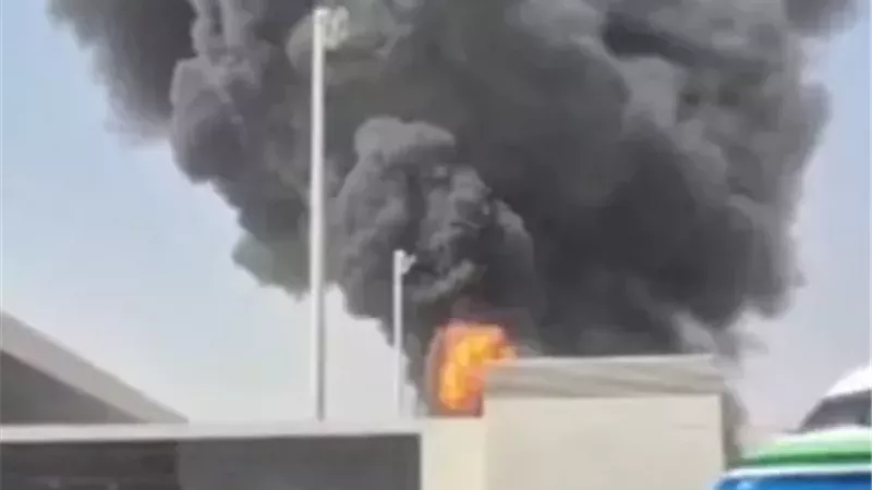 ارشيفية