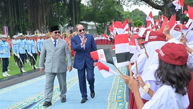 الرئيس السيسي في