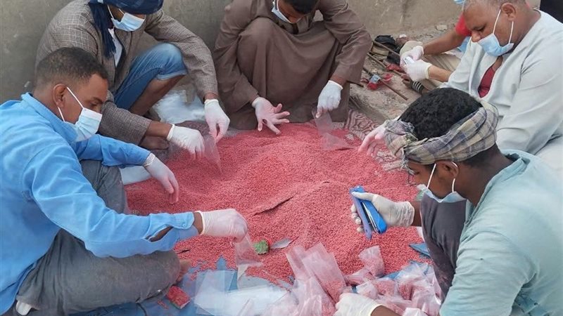 لحظة تجهيز المبيدات