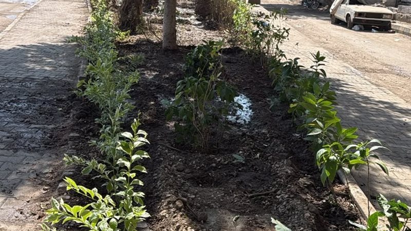 محافظة الجيزة 