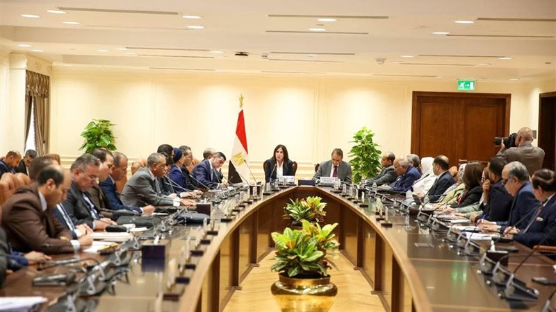 المهندسة راندة المنشاوي