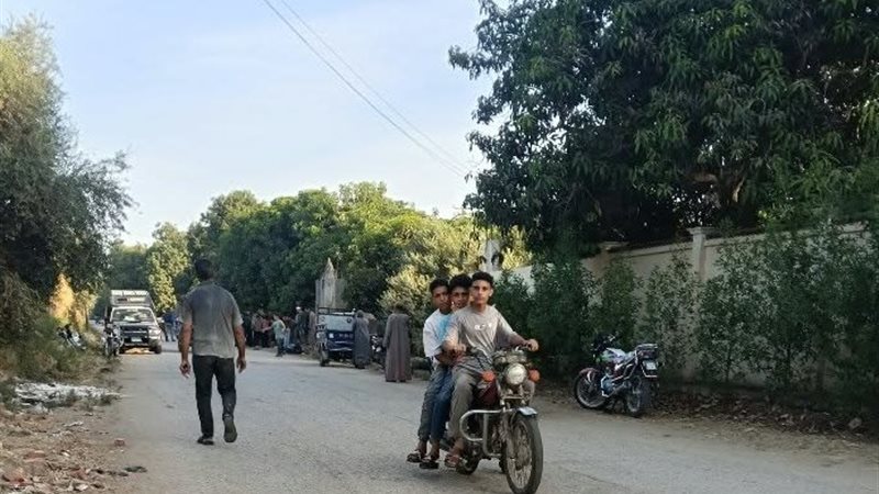 تفصيلة