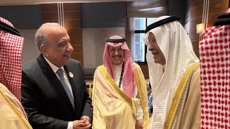 الدكتور محمود عصمت،