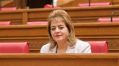 تحرك برلماني لمراجعة قرار إضافة العربية والدراسات إلى مجموع طلاب المدارس الدولية