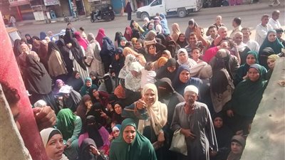 أصحاب معاشات أبشواي بالفيوم يستغيثون من إغلاق وحدات التضامن الاجتماعي وتعطل مصالحهم