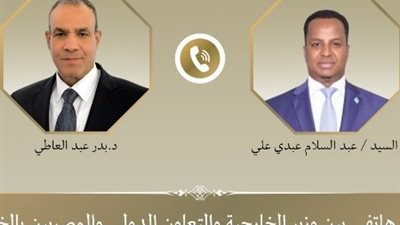 وزير الخارجية: مصر تدعم وحدة الصومال وترفض أي إجراءات تمس سيادته وسلامة أراضيه