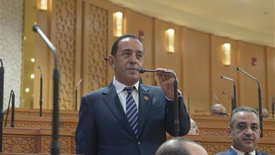 محمد شعيب: معركة الوعي لا تقل أهمية عن معارك الدفاع عن الأرض وصون السيادة