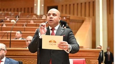 النائب علي خالد خليفة يكشف تفاصيل مشروع قانون لحماية العمالة اليومية والموسمية
