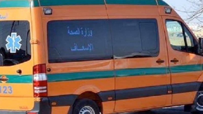 ارشيفية