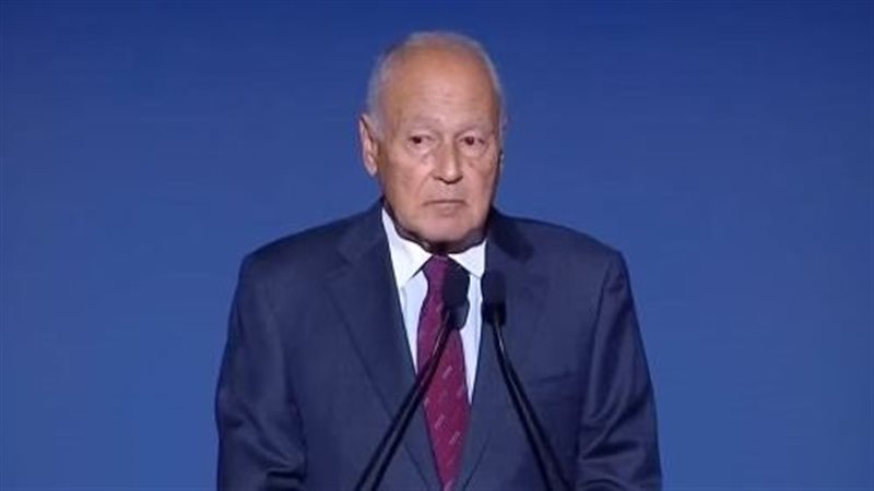 أحمد أبو الغيط، الأمين