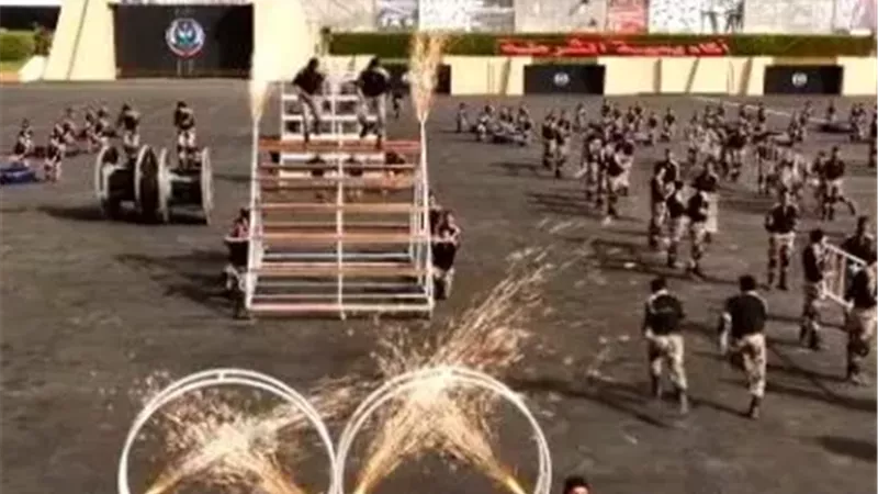 جانب من العروض 