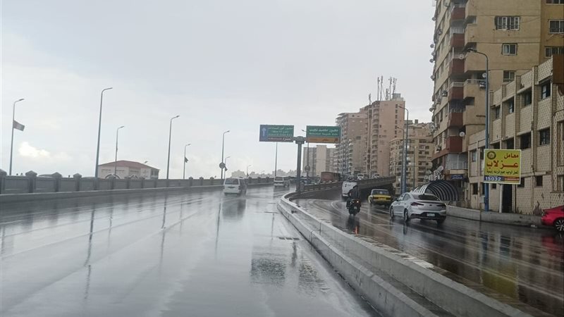 شوارع الإسكندرية