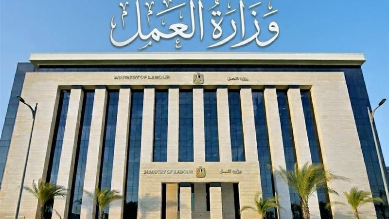 وزارة العمل 