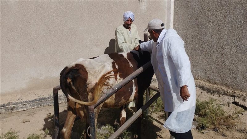 التحصين 