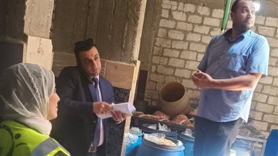 سلامة الغذاء تضبط مصنع مخللات غير مرخص بإخميم وتعدم 3 أطنان مخلل فاسد