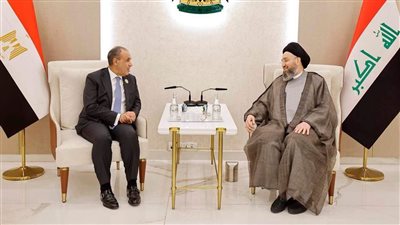 وزير الخارجية يلتقي رئيس تيار الحكمة الوطني العراقي 