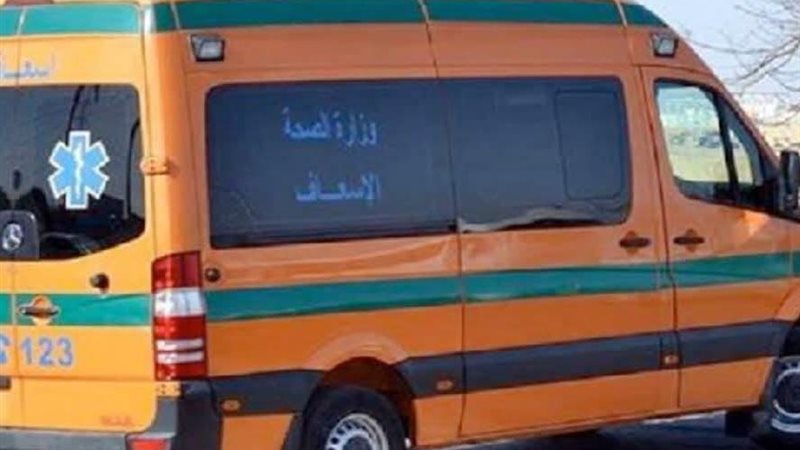 ارشيفية