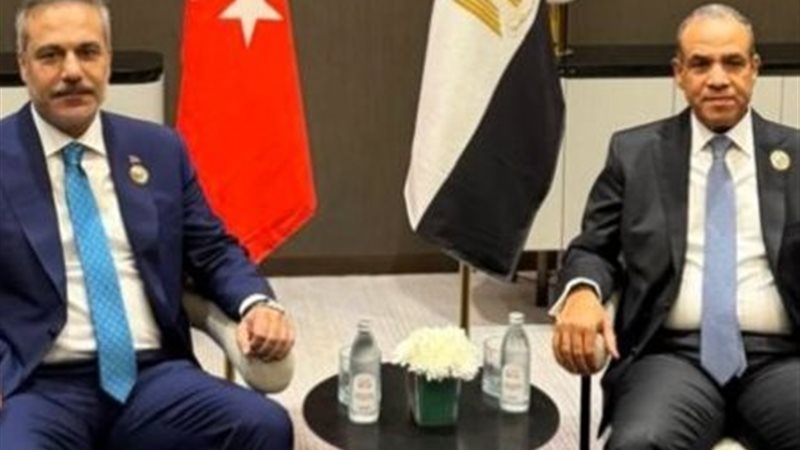 الدكتور بدر عبد العاطي