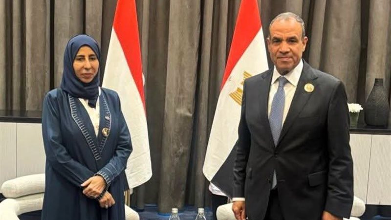 وزير الخارجية 