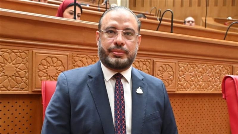 النائب أحمد السبكي