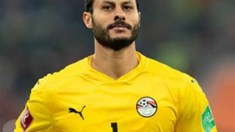الشناوي