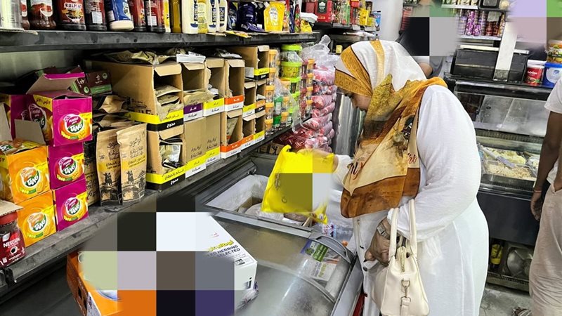 الحملات