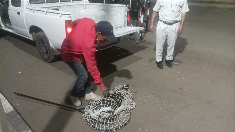 لحظة اصطياد الكلب