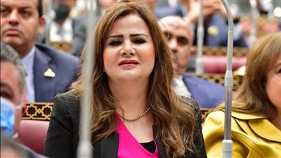 برلمانية: الاعتداءات الإسرائيلية على المشرق العربي تهدد الأمن الإقليمي