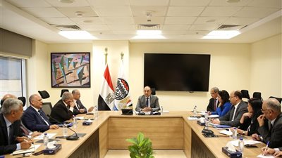 قطاع الأعمال: الاستغلال الأمثل للأصول وتعظيم العوائد وتحسين نظم الإدارة بالشركات التابعة لدعم خطط التحديث