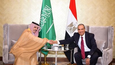 علاقات راسخة وتعاون بلا حدود.. وزير الخارجية والهجرة يستقبل نظيره السعودي بالعلمين