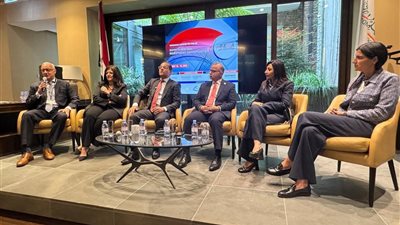 رئيس الرقابة المالية: فرص واعدة في القطاع المالي غير المصرفي المصري