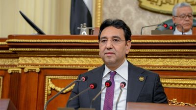 أيمن محسب: مصر والسعودية حجر الزاوية في استقرار المنطقة