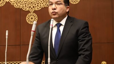 نائب: حوكمة الجمارك وتقليل زمن الإفراج الجمركي ضرورة لتعظيم العوائد الاقتصادية