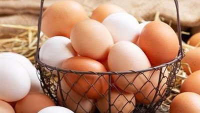  الثروة الحيوانية والداجنة: تشغيل 5 منافذ تسويقية متنقلة لتوزيع بيض المائدة بأسعار مخفضة 