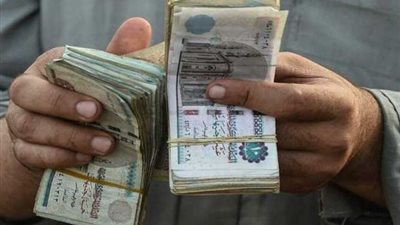 برلماني يطالب بتفعيل المجلس القومي للأجور وحماية حقوق القطاع الخاص