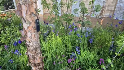 الأشجار تتحدث.. تفاصيل  مشروع «الحديقة الذكية» الاولى من نوعها في العالم