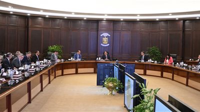 مدبولي يتابع تنفيذ توجيهات الرئيس بإنشاء مركز عالمي للحبوب والغلال