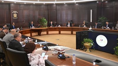 رئيس الوزراء: الدواء سلعة استراتيجية ستظل مدعومة من الدولة 