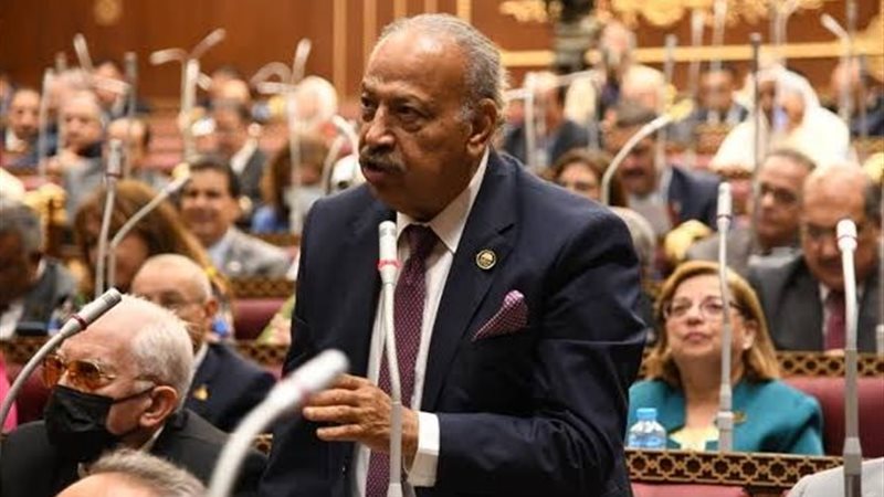 النائب هاني العسال