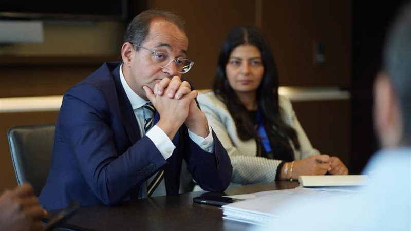 وزير المالية