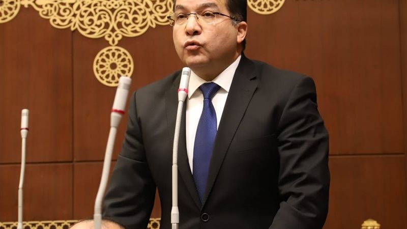 النائب عادل لمعي