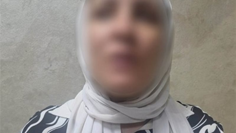صانعة المحتوي