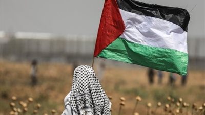 مصر ترحب بعزم فرنسا الاعتراف بدولة فلسطين وتدعو المجتمع الدولي للخطوة نفسها